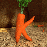 farm_carrot