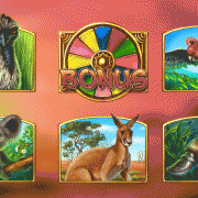 outback_wildlife_animations