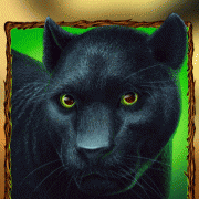 wild-cats_animation_panther