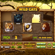 wild-cats_bonus-game