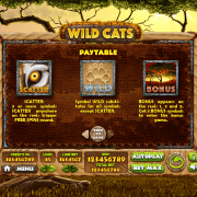wild-cats_paytable1