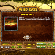 wild-cats_paytable3
