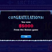arctic_popup-4