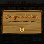 wild_horse_popup-3