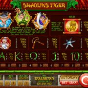 shaolins-tiger_paytable