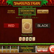 shaolins-tiger_risk-game