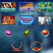 siberian_tiger_symbols_bonus_game