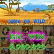 king_of_wild_win_bigwin